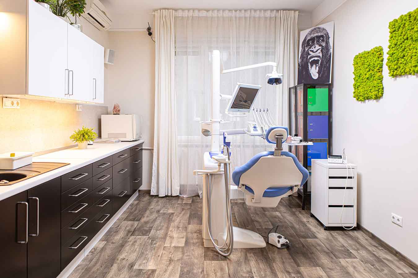 Dr. Breiter Mónika | Bemutatkozás Dr. Breiter Mónika | Bemutatkozás